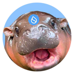 HIPPO Logo